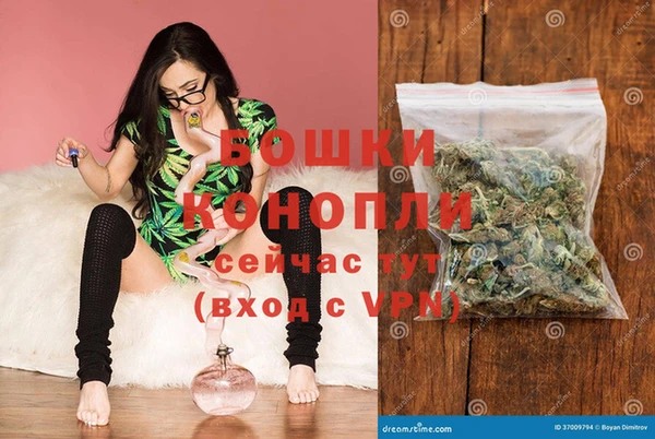 мдпв Вязьма